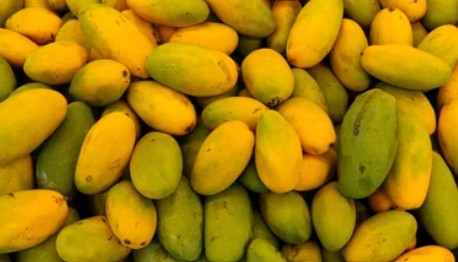 Mango-Dasheri Aam